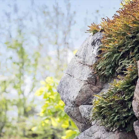 Casa de Férias 6661-allinge-lundegardsvej-7 *