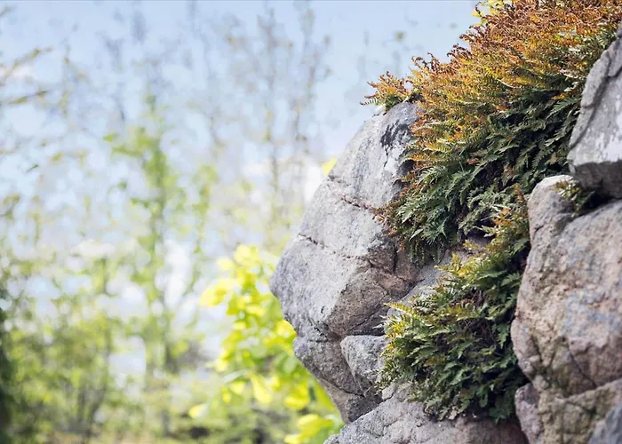 Сasa de vacaciones 6661-allinge-lundegardsvej-7 *